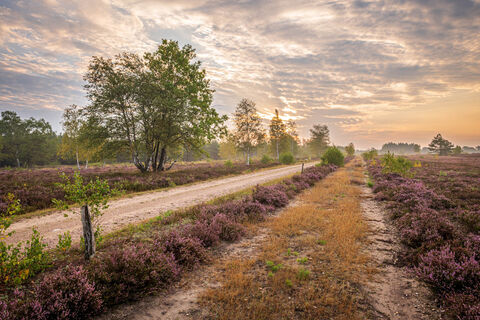 Osterheide