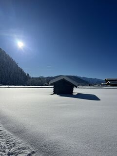Foto von Heikoala entlang der Tour