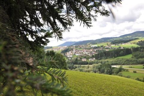 Blick nach Birkfeld, Birkfeld in der Oststeiermark
