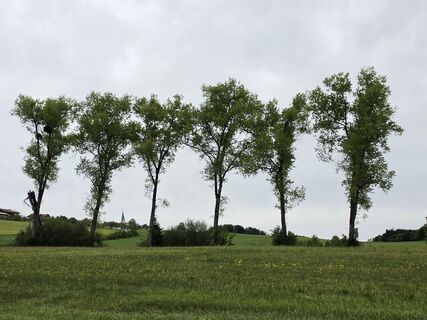 Foto von Gudrun Lippert entlang der Tour