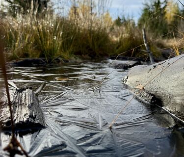 Photo de Dani Geiger / Natur_erleben_dg le long du parcours
