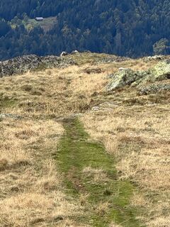 Photo de Niels Kooijman le long du parcours