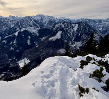 Zdjęcie z Natur_erleben_dg wzdłuż trasy