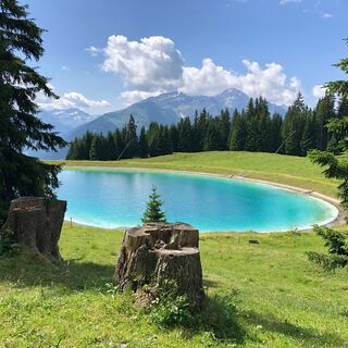 Speichersee in der Nähe vom Triel.