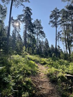 Fotó a Ralf Umminger honlapról a túra során