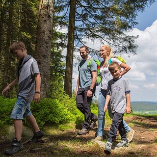Familie wandert durch den Wald