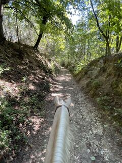 Foto de Radostics a lo largo del recorrido
