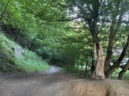 Foto de Reti Alicia a lo largo del recorrido
