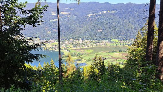 Foto von Ingrid Naschenweng 1 entlang der Tour