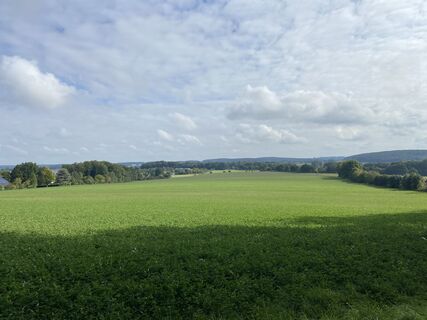 Blick vom Wald.jpeg