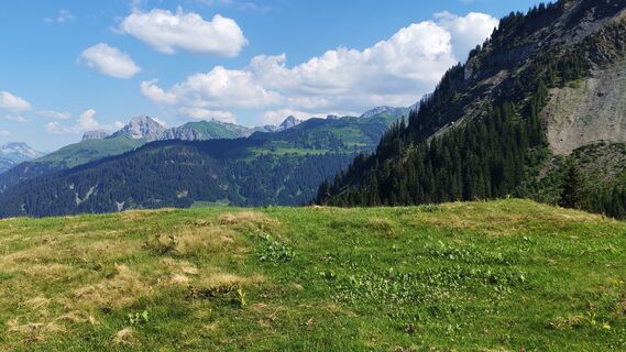 Fotografia z Gerhard Gössinger na trase