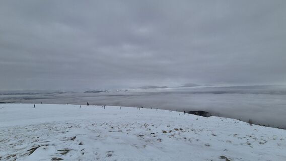Zdjęcie z Gernot Hartleb wzdłuż trasy