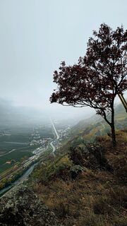 Foto de Grieshofer Gerlinde a lo largo del recorrido
