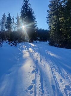 Fotografia z Christian Hirsch na trase