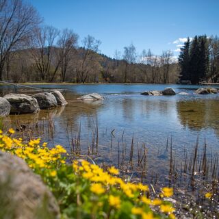 Pölser Badeteich - Pölstal