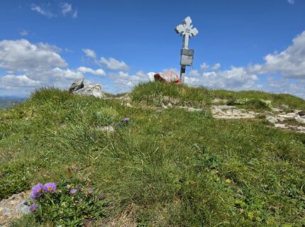 Fotografija s spletne strani MRDL na poti