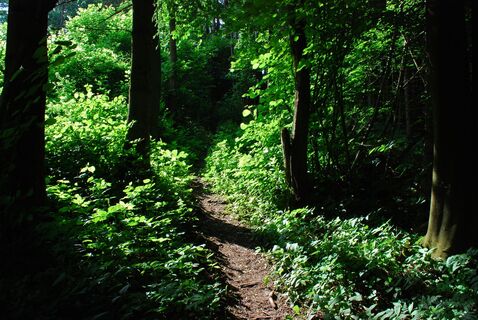 Kletschachkogel und Kotzalm ab/bis Proleb