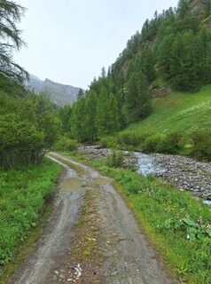 Foto von Jaap Rozeboom entlang der Tour