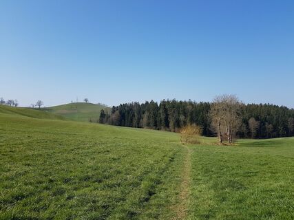 Typische Landschaft vor Huttwil