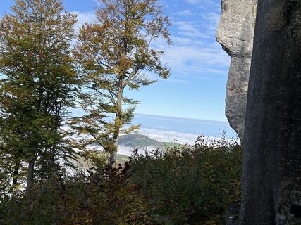 Fotografie z Tine Harth na trase