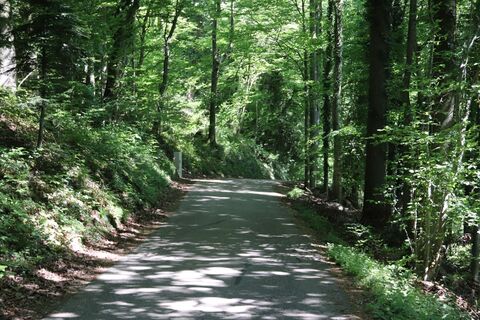 Foto da Bernard lungo il tour