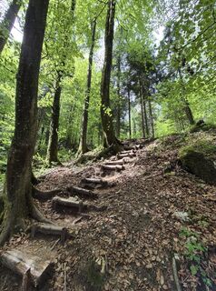 Foto von Padole entlang der Tour