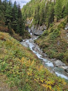 Photo de Rottiman le long du parcours