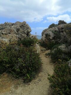 Photo de Christina Turnwald le long du parcours