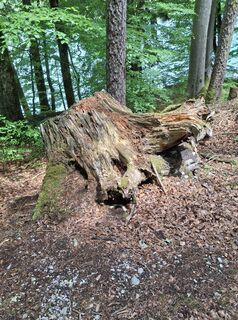 Foto von Andrea Rudholzer entlang der Tour
