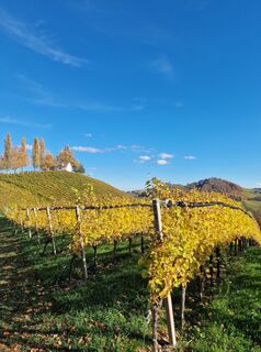 Foto från Michael Kainz 4 under resans gång