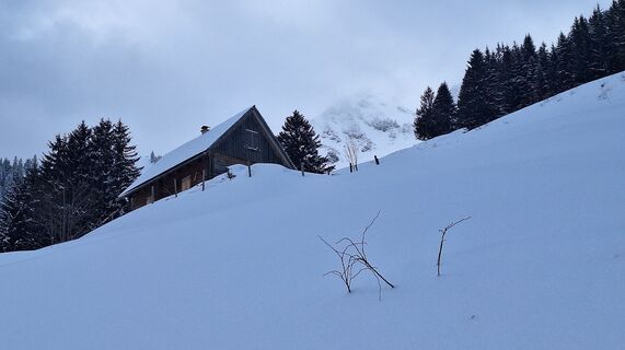 Fotografia z Regina Fleischmann na trase