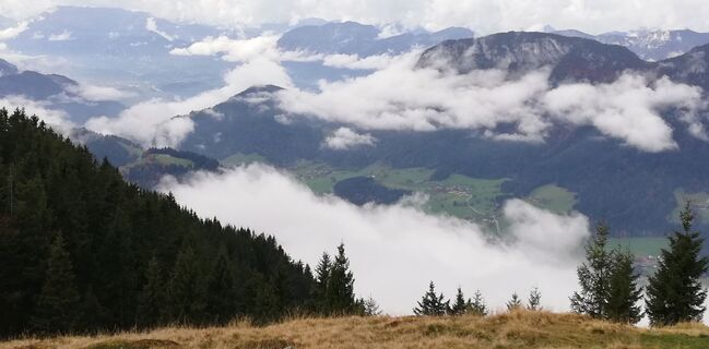 Foto von wanderer55 entlang der Tour