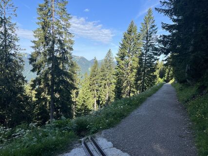 Fotografia z Marco Wolf na trase