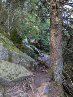Photo de Matje Derks le long du parcours