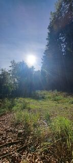 Fotografija s spletne strani Anita Lunzer 1 na poti