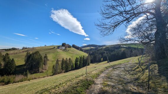 Fotografie z Klaus Lehner na trase