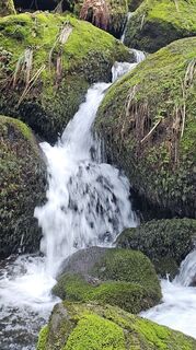 Photo de SchiMi780 le long du parcours