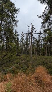 Fotografie de la Frank Neitzel de-a lungul turului