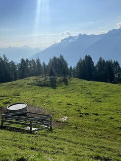 Photo de Manuel 8819 le long du parcours