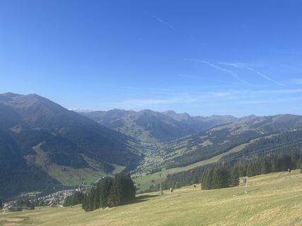 Foto von firebird 93 entlang der Tour
