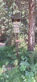 Photo de Jiří Chocholatý le long du parcours