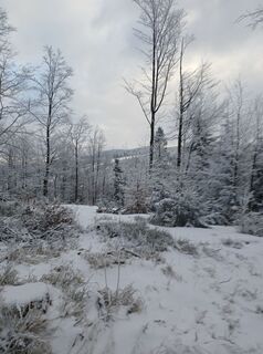 Foto de Daniel Kremiec a lo largo del recorrido