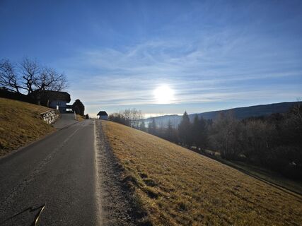 Fotografie de la Koisiegi Japankoi-Bonsai de-a lungul turului