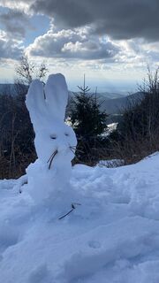 Fotografija s spletne strani Myriam Schaub 1 na poti