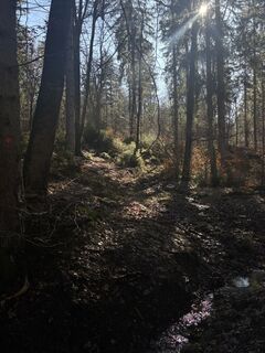 Photo de Gabrielle De Brabanter le long du parcours