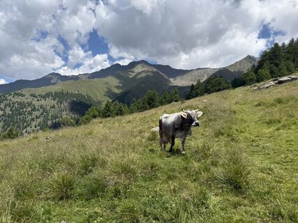 Foto von Hans Ferdinand Hauser entlang der Tour