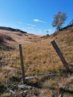 Photo de Dagmar Hofer le long du parcours