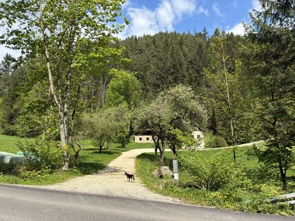 Fotografia z Lothar Bodingbauer na trase