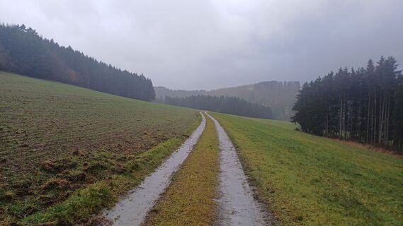 Foto de Koendebaere a lo largo del recorrido