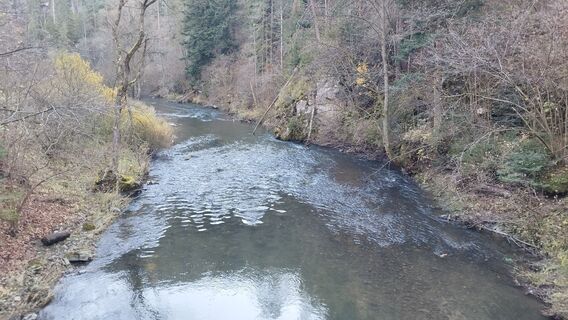 Foto de György Répássy Dr. a lo largo del recorrido
